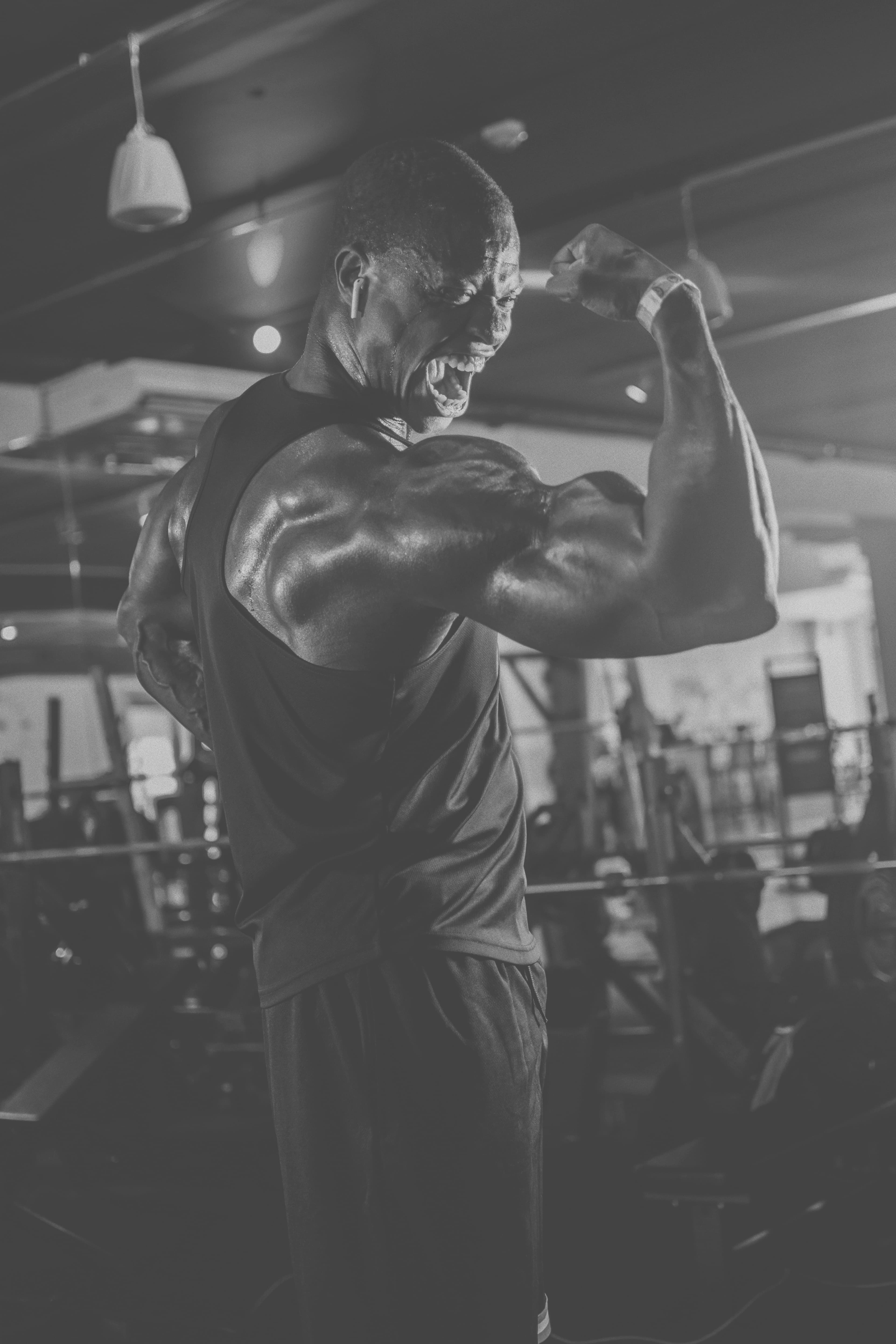 Hypertrophie des biceps: ratio entre certains exercices