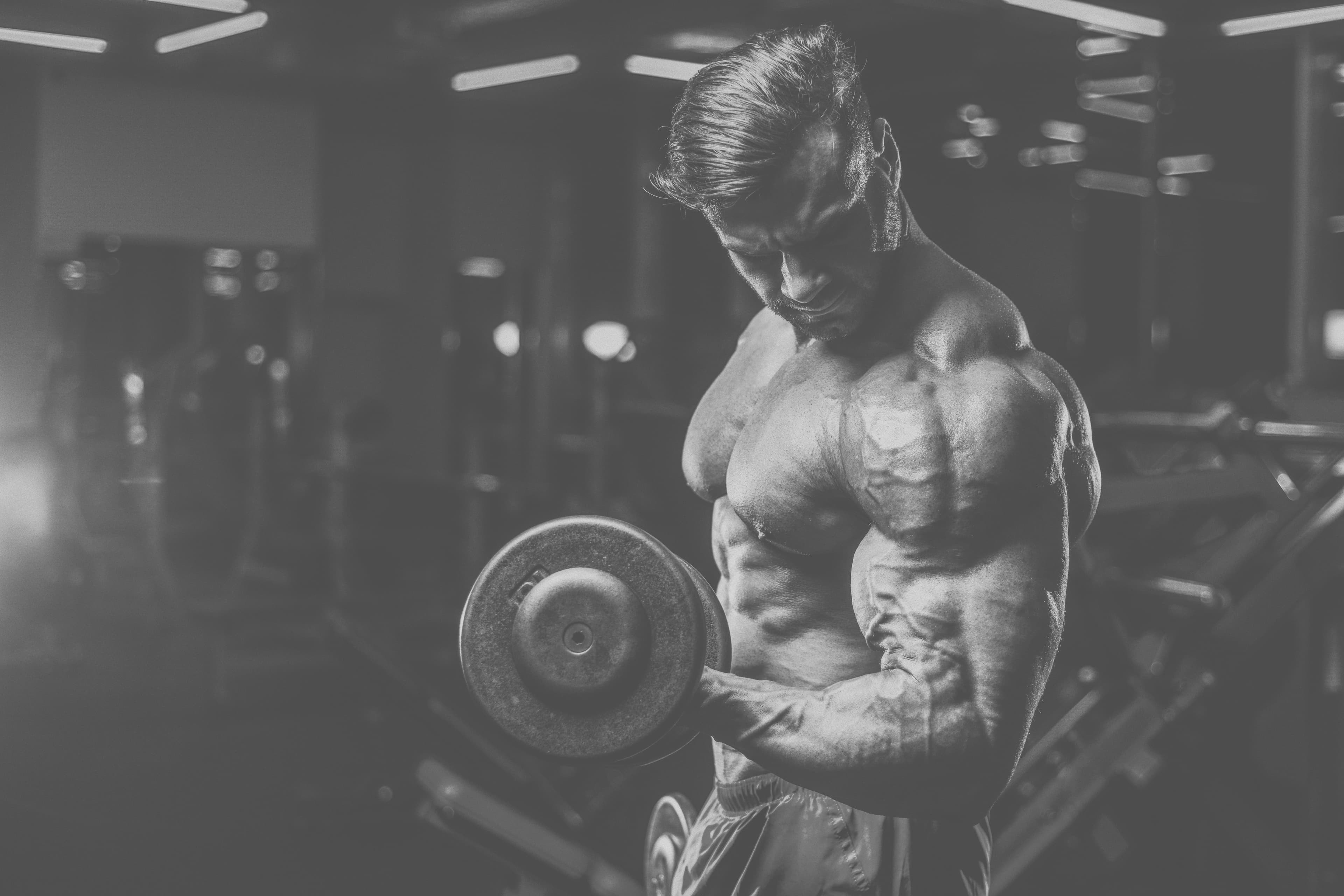 Facteur d'influence de la force: Origine et insertion musculaire