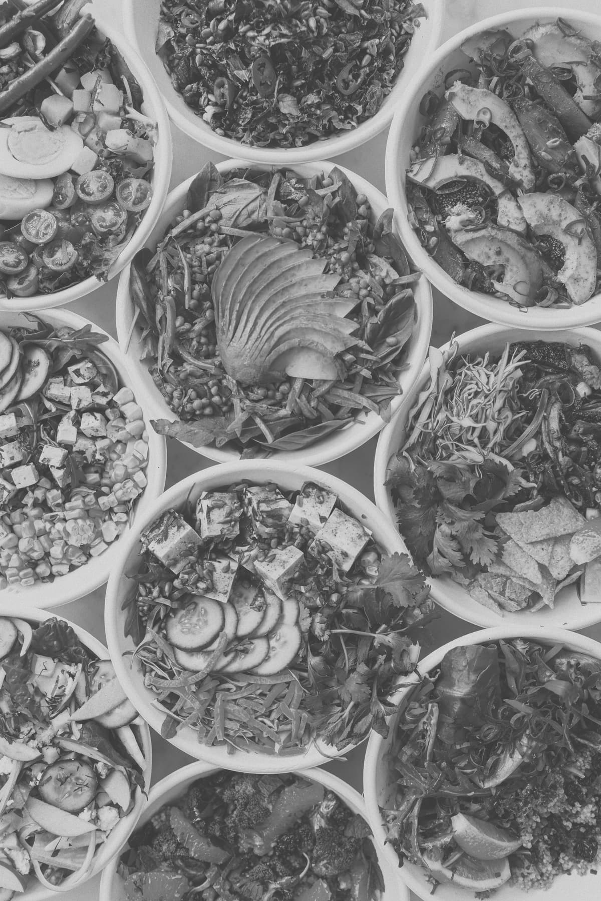 Le nutritionisme, comprendre le paradigme