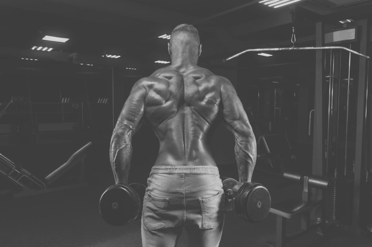 Pourquoi les shrugs en rotation sont inefficaces?