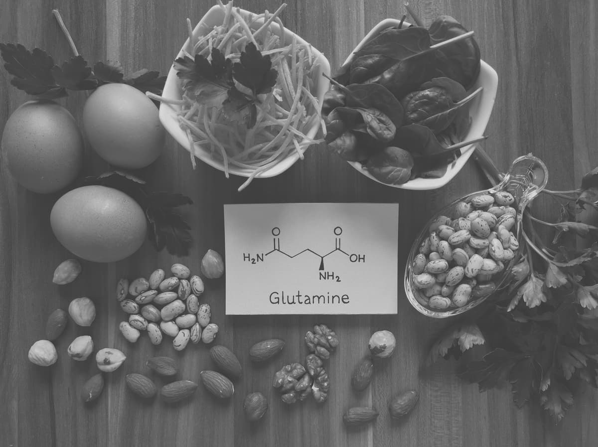 Les bénéfices de la L-Glutamine avant le coucher