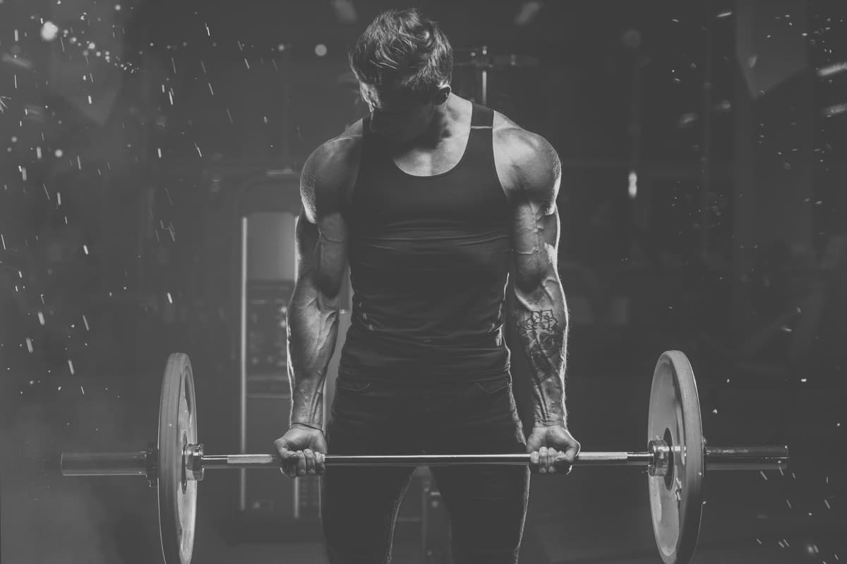 Le BB biceps curl version posturo