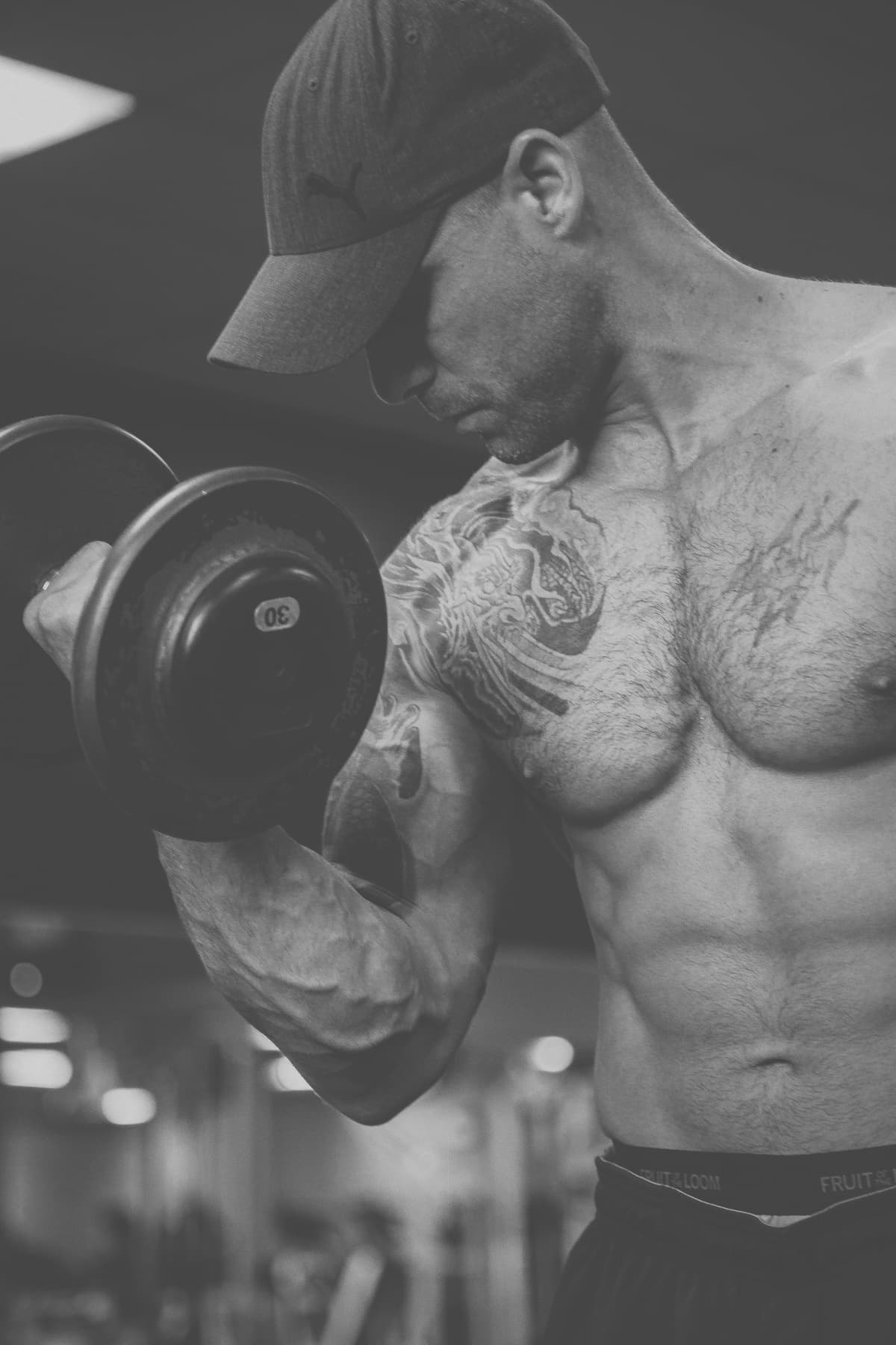 Hypertrophie des biceps: anatomie