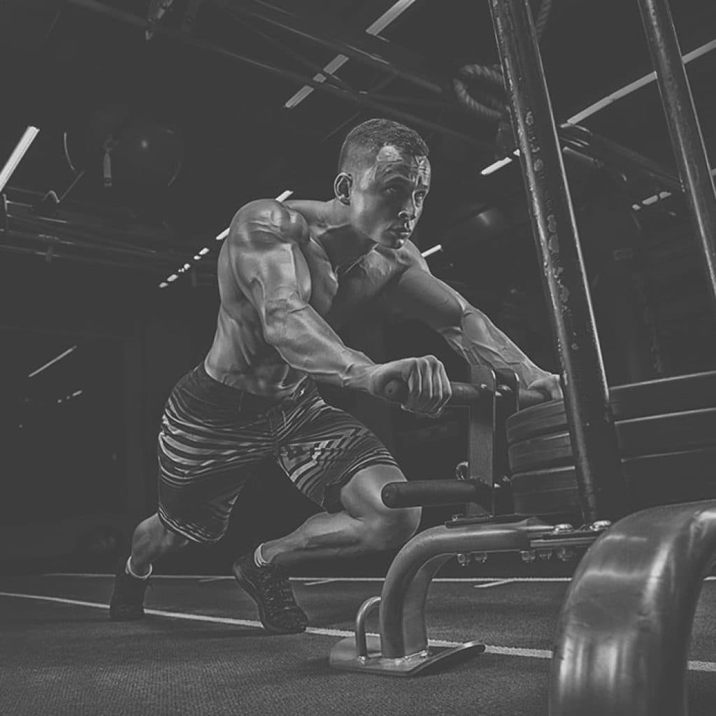 Certification Préparation physique avancée sports de puissance