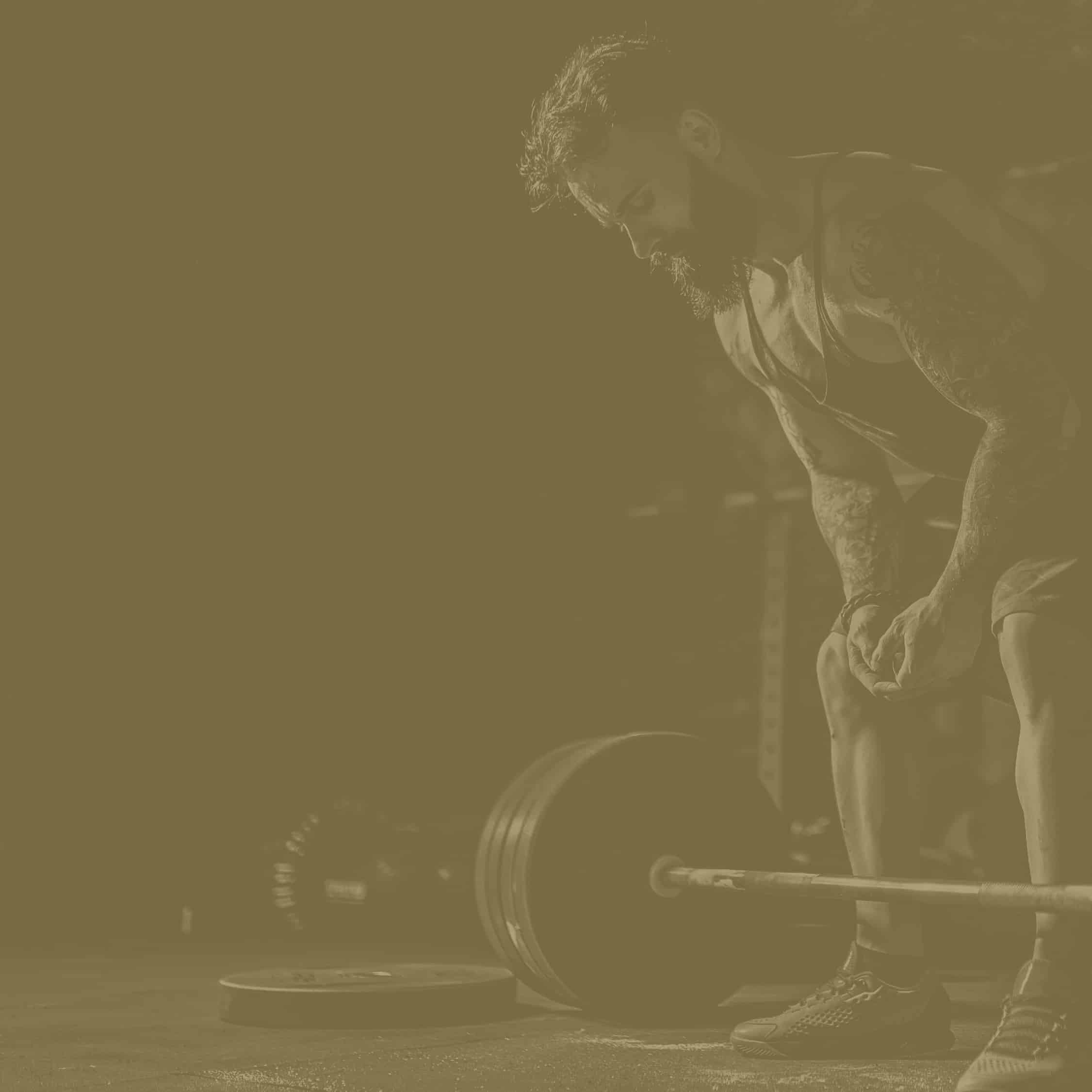 Introduction to the IP Method